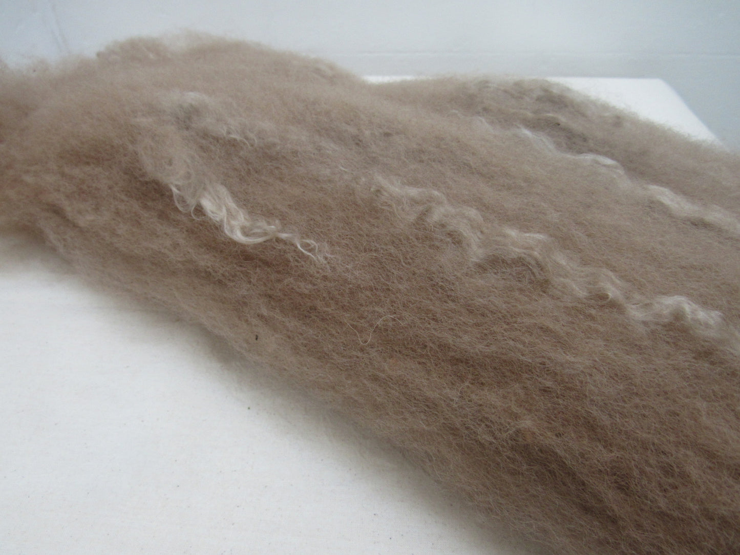 Natural Dye BFL / Silk Batts