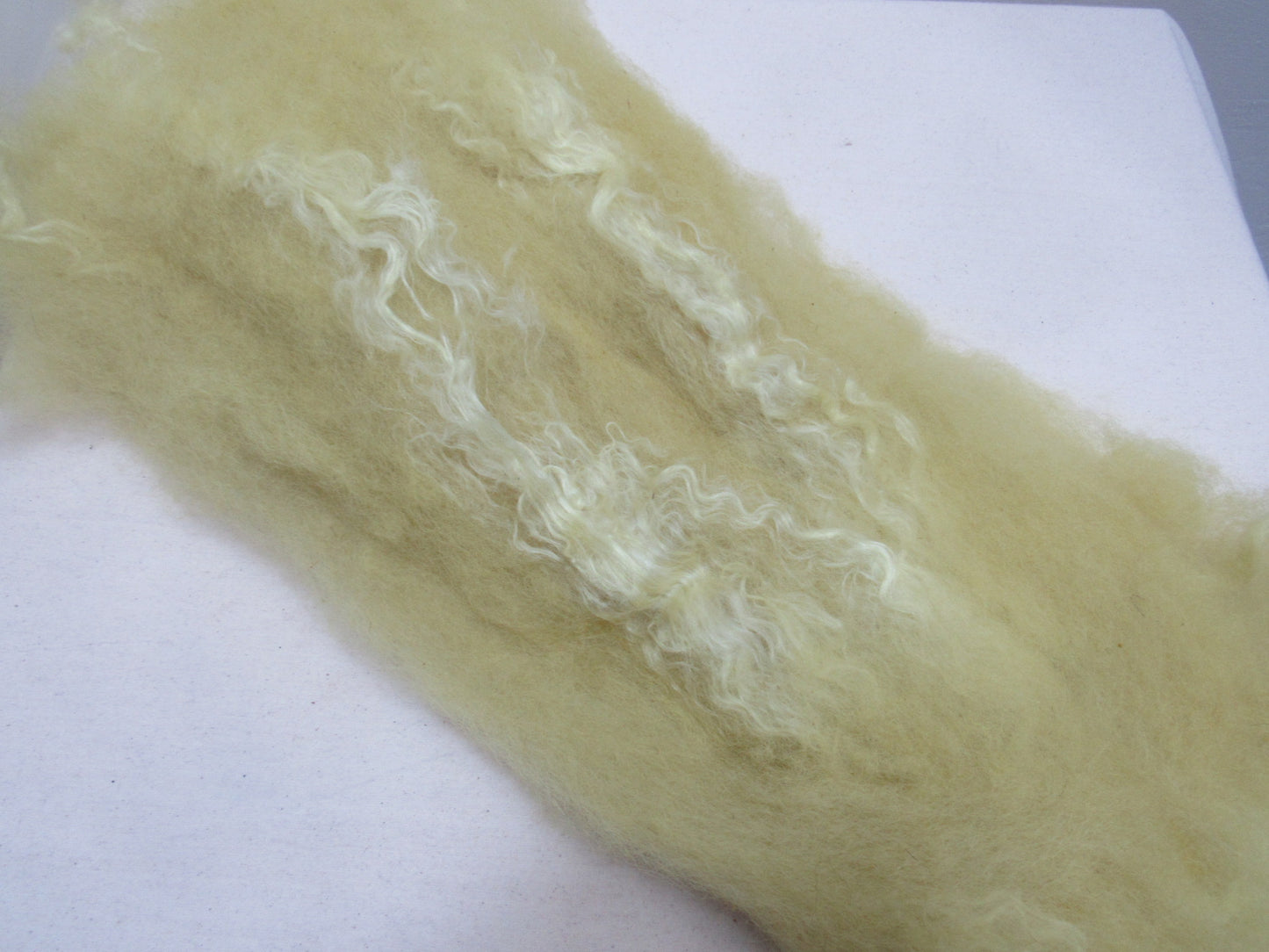 Natural Dye BFL / Silk Batts