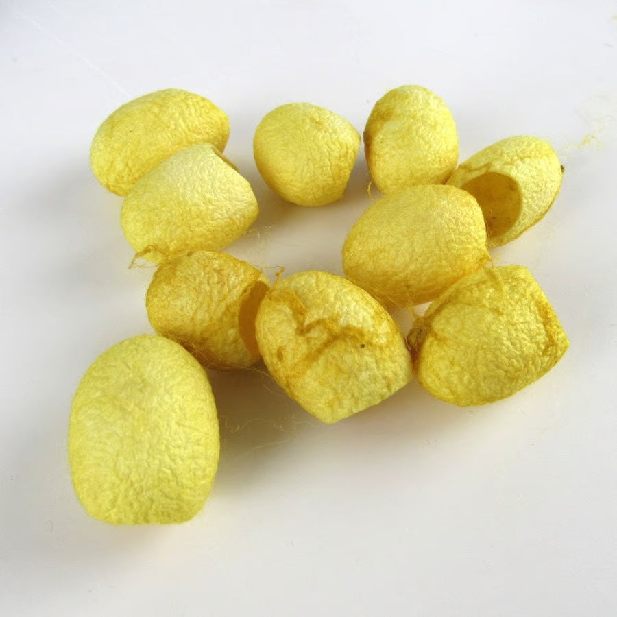 10 Naturally Dyed Silk Cocoons