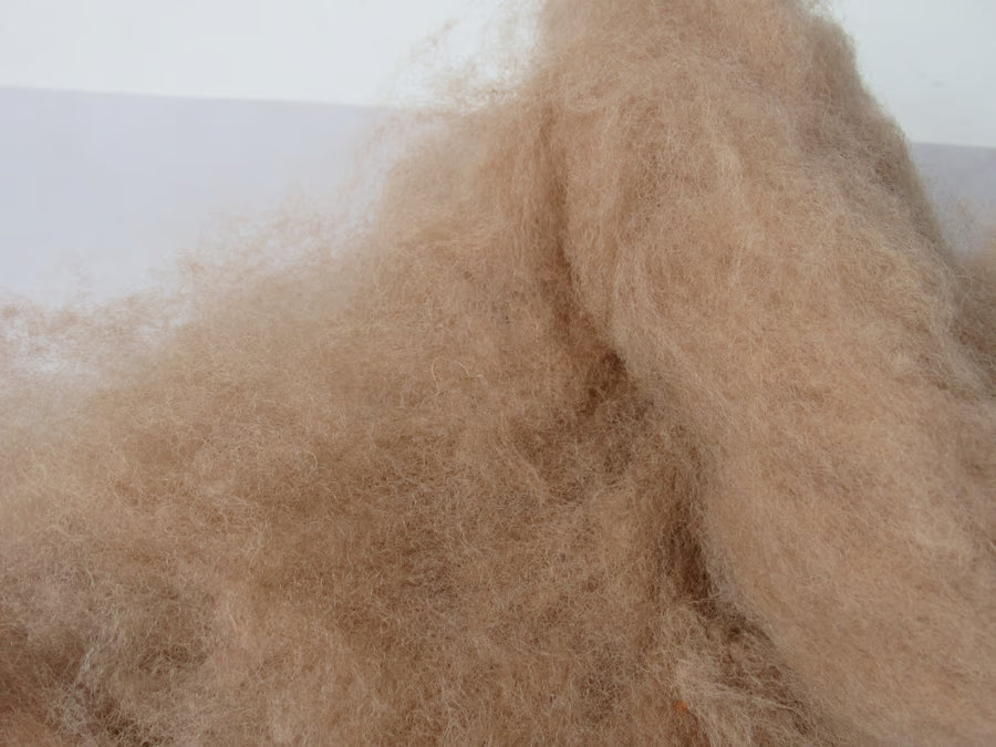 Natural Dye Llanwenog Felting Wool