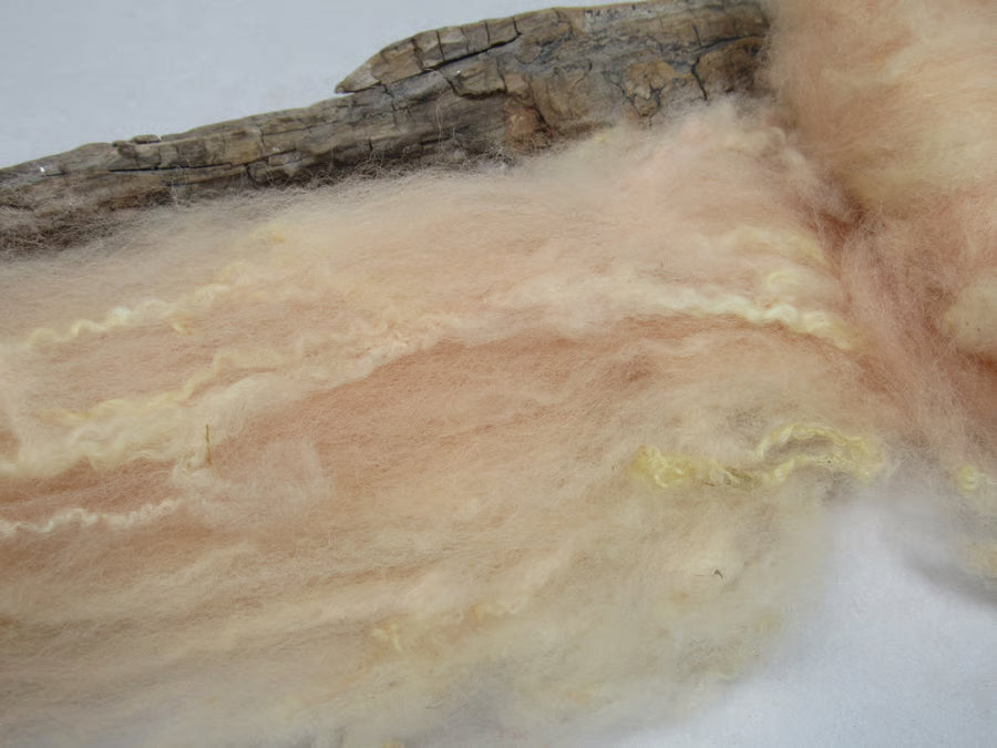 Natural Dye BFL Felting Wool