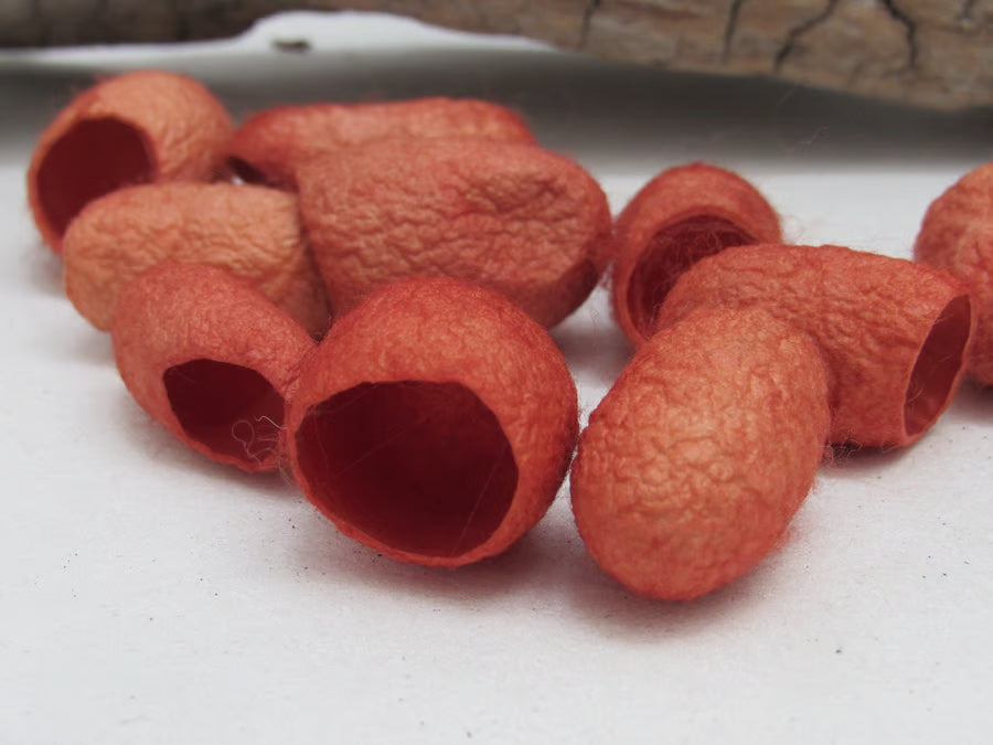 10 Naturally Dyed Silk Cocoons