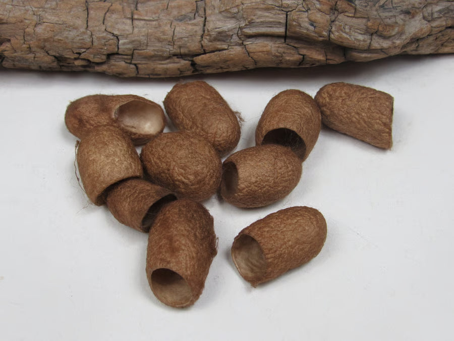 10 Naturally Dyed Silk Cocoons