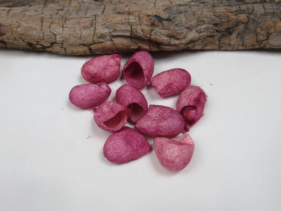 10 Naturally Dyed Silk Cocoons