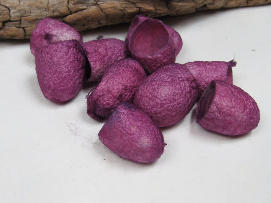 10 Naturally Dyed Silk Cocoons