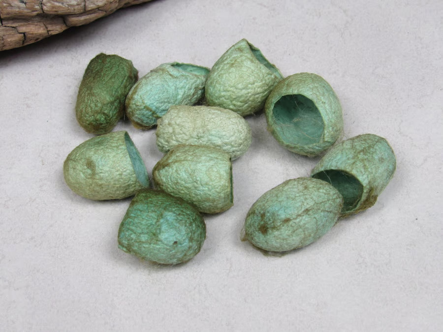10 Naturally Dyed Silk Cocoons