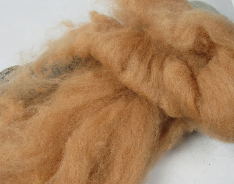 Natural Dye Llanwenog Felting Wool