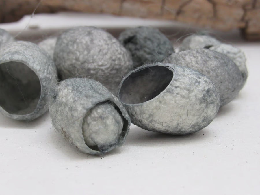 10 Naturally Dyed Silk Cocoons