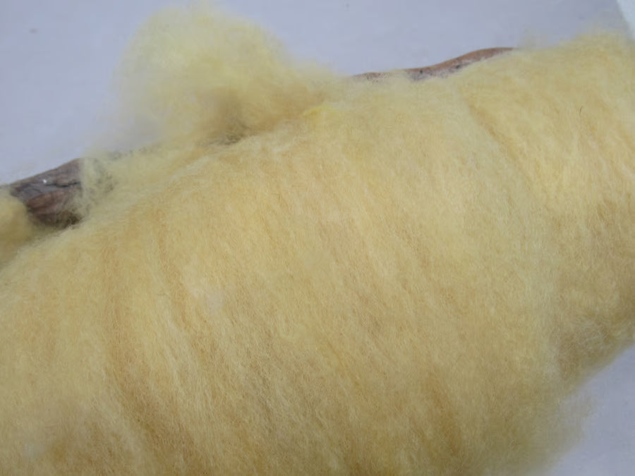 Natural Dye Llanwenog Felting Wool