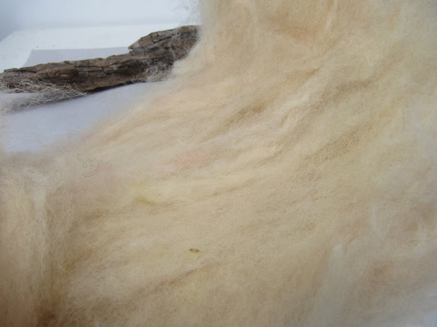 Natural Dye Llanwenog Felting Wool