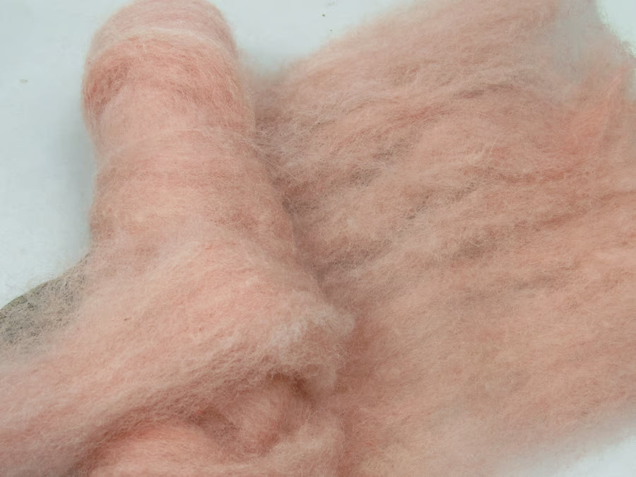 Natural Dye Llanwenog Felting Wool