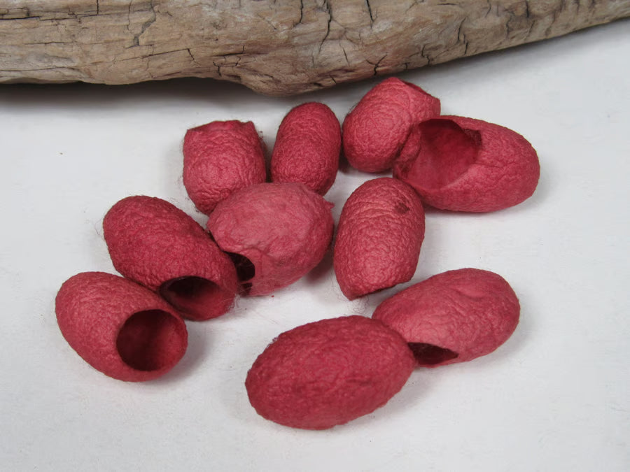 10 Naturally Dyed Silk Cocoons