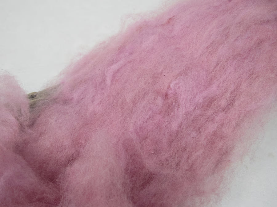 Natural Dye Llanwenog Felting Wool