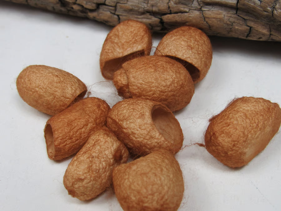 10 Naturally Dyed Silk Cocoons