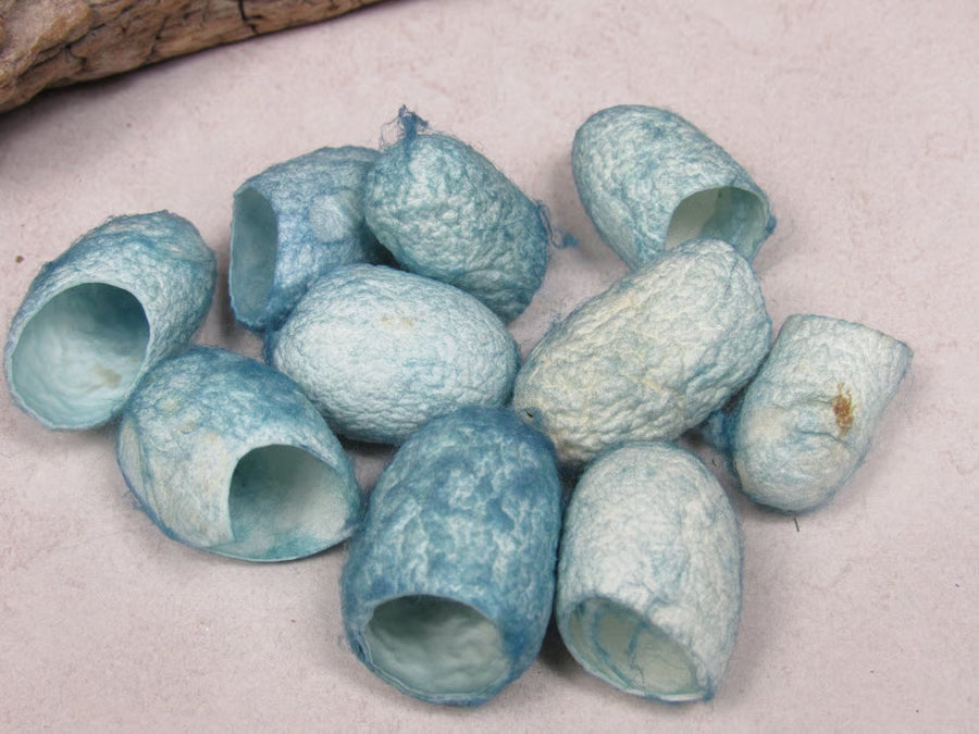 10 Naturally Dyed Silk Cocoons