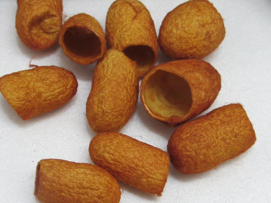 10 Naturally Dyed Silk Cocoons